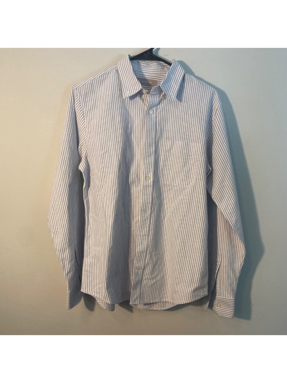 everlane pin stripped button down